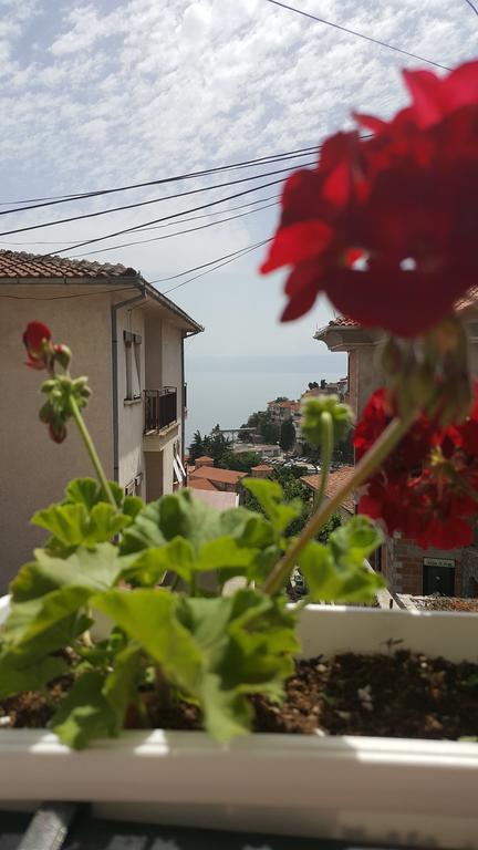 Villa Srma Ohrid Szoba fotó