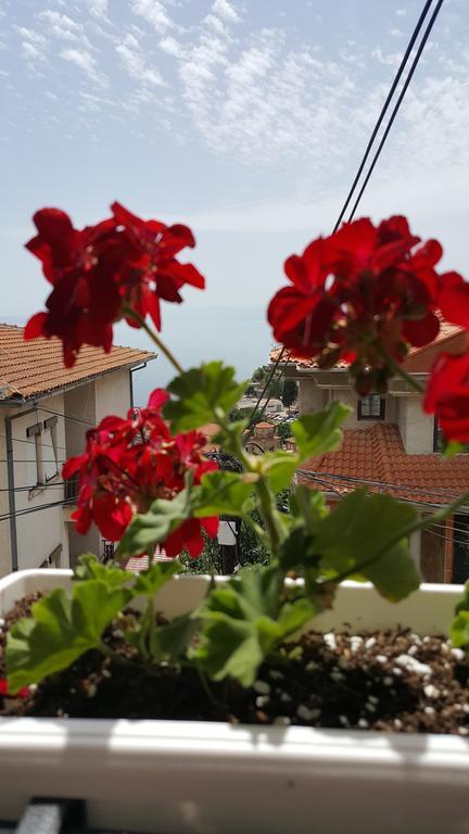 Villa Srma Ohrid Kültér fotó